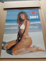 Würth 2001 XXL Sammler Kalender - Erotik Pin-Up Kalender Y5