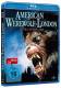 American Werewolf in London