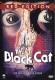 The Black Cat - Red Edition - Neuauflage / DVD NEU OVP uncut 
