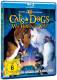 Cats & Dogs - Wie Hund und Katz