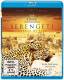 SERENGETI - Circle of Life - BLU-RAY - Top Tiere Doku