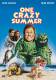 One Crazy Summer