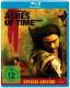 Ashes of Time: Redux - Special Edition