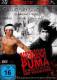 Bruce Lee - Der reißende Puma