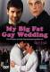 My Big Fat Gay Wedding