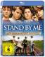 Stand by me - Das Geheimnis eines Sommers