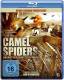 Camel Spiders - Angriff der Monsterspinnen