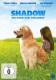 Shadow - Ein Hund zum Verlieben