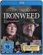 Ironweed