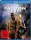 Falcon Rising