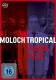 Moloch Tropical