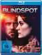 BLINDSPOT - DIE KOMPLETTE ERSTE STAFFEL ( Knallharte TV Action Serie ) 