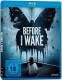 Before I Wake - Kate Bosworth