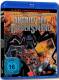 Angriff der Riesenspinne - 2-Disc Complete-Edition