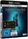 Shape of Water: Das Flüstern des Wassers - 4K