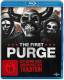 The First Purge