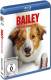 Bailey - Ein Hund kehrt zurück