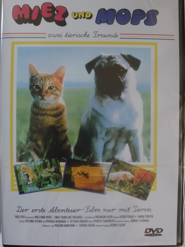 Miez Und Mops Zwei Tierische Freunde Hund Katze Natur Kaufen Filmundo